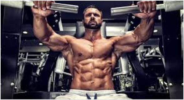 Chest